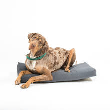 Hundekissen 90x50x10 cm