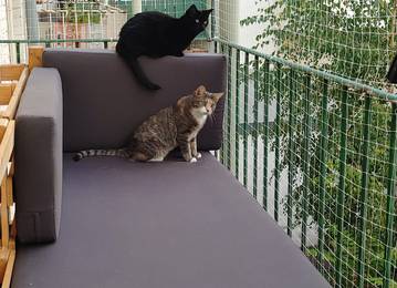 Palette Sitzkissen und Palette Rcklehne nach Ma fr eine Palettencouch in der Farbe Sunny Orage/Dunkelgrau
